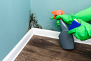 Jakie są przyczyny powstawania grzyba na ścianie i czym z nim walczyć?